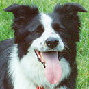 Andre was adopted in June, 2003